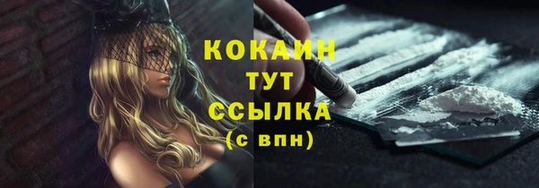 ПСИЛОЦИБИНОВЫЕ ГРИБЫ Абаза