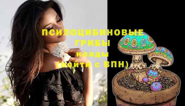ПСИЛОЦИБИНОВЫЕ ГРИБЫ Абаза