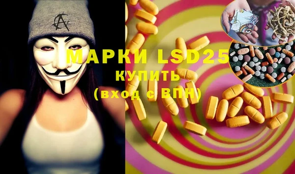 ПСИЛОЦИБИНОВЫЕ ГРИБЫ Абаза