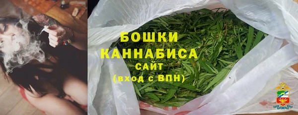 ПСИЛОЦИБИНОВЫЕ ГРИБЫ Абаза