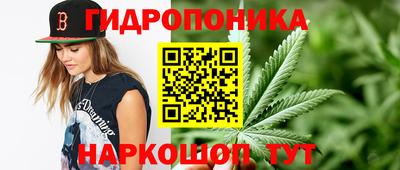 сатива Донской