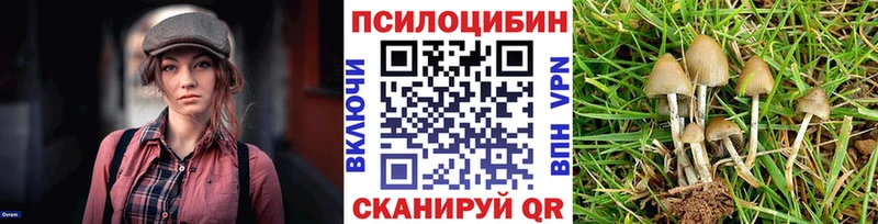 Псилоцибиновые грибы GOLDEN TEACHER  Нальчик 