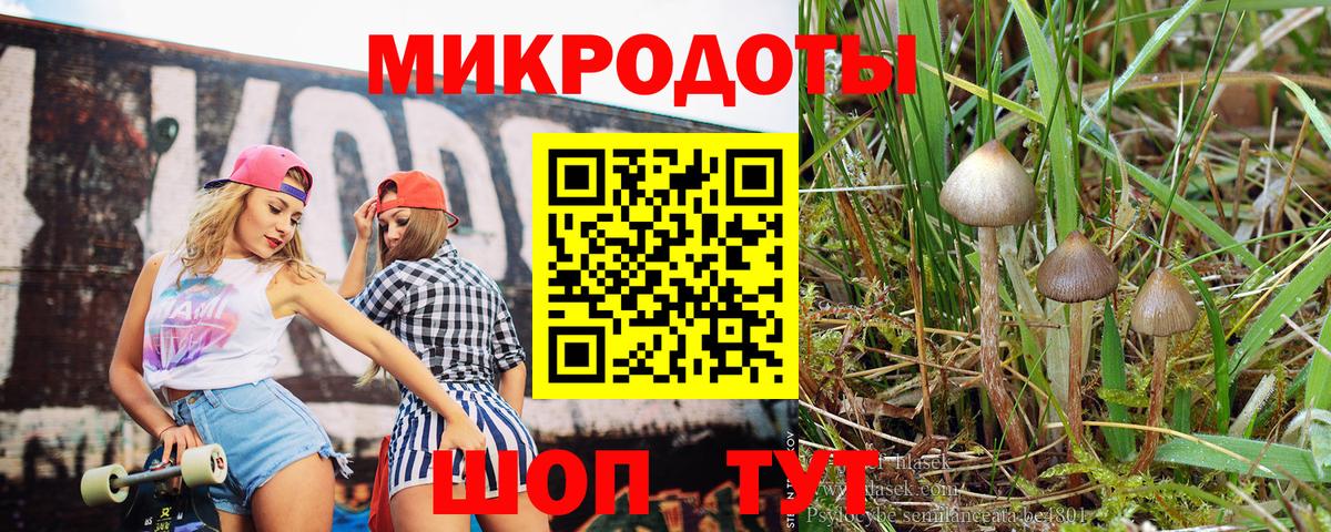 Нальчик  Псилоцибиновые грибы мухоморы  Вход с VPN  Галлюциногенные грибы Psilocybine cubensis 