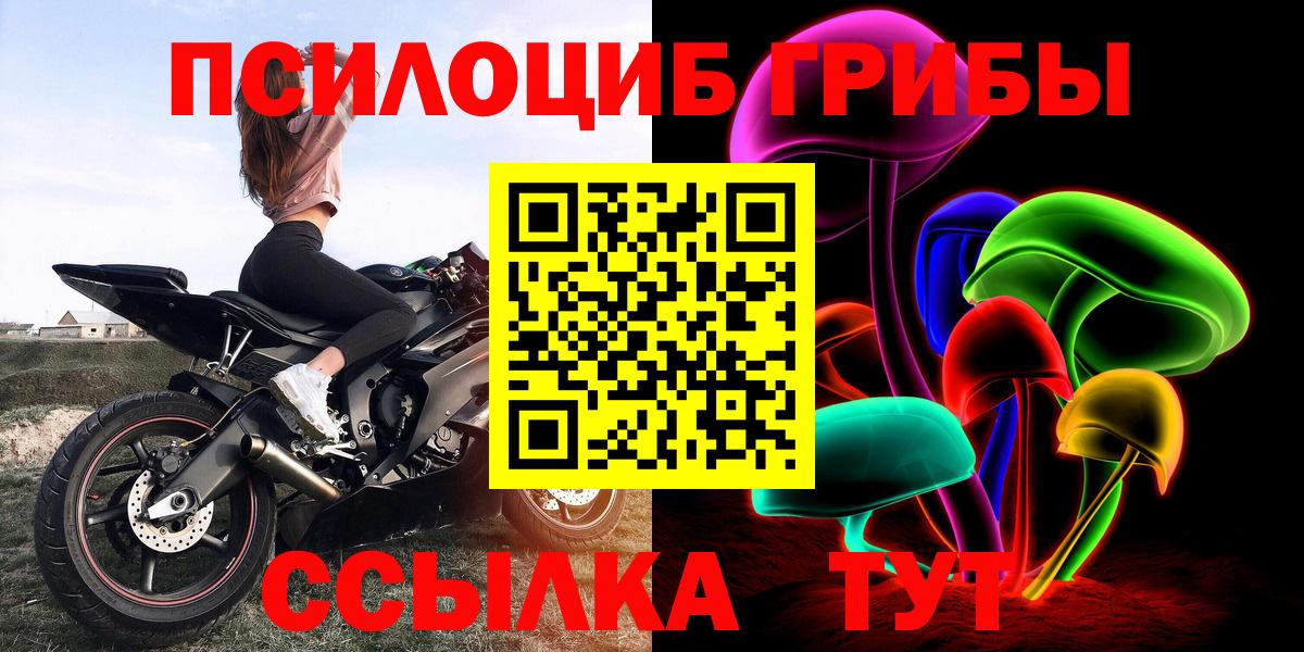 Псилоцибиновые грибы мицелий Нальчик